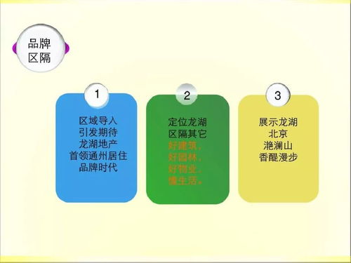 2019年龙湖房产项目 精益策划与整合公关服务实施蓝图