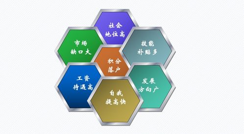 客户服务管理师 在项目策划与公关服务中的机遇与挑战